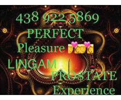 ENJOY★❥EXPERIENCE★❥PROSTATE*FIST*LINGAM*FACE S*GOLDEN* ExclusiveOffers NEW PLEASURES